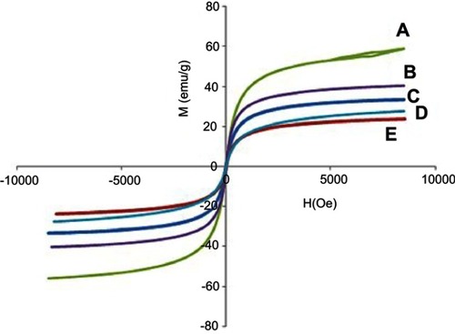 Figure 6 Magnetization curves of (A) FNPs, (B) FPEG-Mg/Al-LDH, (C) FPEG-Zn/Al-LDH, (D) the nanoparticles co-coated with Mg/Al-LDH, (E) the nanoparticles co-coated with Zn/Al-LDH recorded at room temperature.