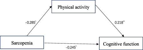 Figure 1 Mediation model of MMSE score (cognitive status). *p<0.05; **p<0.005.