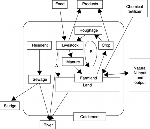 Figure 2  Nitrogen and P2O5 flow model. Nitrogen and P2O5 flows were estimated using this model. A, disposal of livestock excreta; B, recycle pathway of forage production consumed by livestock and manure application to farmland.