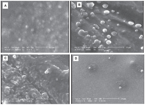 Figure 4 SEM photographs of SLNs of amikacin stored 60 days at A) 4°C, B) 25°C, C) 40°C, and D) lyophilized SLNs stored at 40°C.