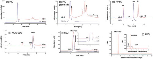 Figure 1. Analytical method profiles for ADC and its corresponding mAb intermediate: (A) Hydrophobic Interaction Chromatograph (HIC); (B) Zoom in HIC profile (Peak # 1–6 are indicated); (C) Reverse Phase Liquid Chromatograph (RP-LC); (D) non-reduced CE-SDS; (E) Size Exclusion Chromatograph (SEC); and (F) Analytical Ultracentrifuge (AUC).