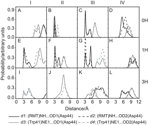 Figure 3.  The distributions of the d1–d4 distances, as defined in Figure 1, for the three simulated systems: 0H, 1H and 3H, at the subunits I–IV of the M2 channel.