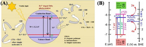 Figure 4. Schematic illustration of the band gaps structure and photocatalytic processes (A) in Fe-doped TiO2 and (B) Cu-doped TiO2. Adapted from references ( Citation29) and ( Citation30) with permissions. Copyright 2015, Elsevier Ltd. and 2014, American Chemical Society.