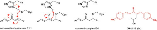 Figure 1. Left. Reaction of the 1,5-diaryl-3-oxo-1,4-pentadienyl pharmacophore with thiol group at the catalytic site (showing Cys111 and His272) of SARS-CoV-2 PLpro. Initially, a non-covalent enzyme-inhibitor association is formed (E:I, 1) leading to a covalent adduct. Right. Structure of BBC DU-UC15 (2c) with the 1,5-diaryl-3-oxo-1,4-pentadienyl pharmacophore in red.