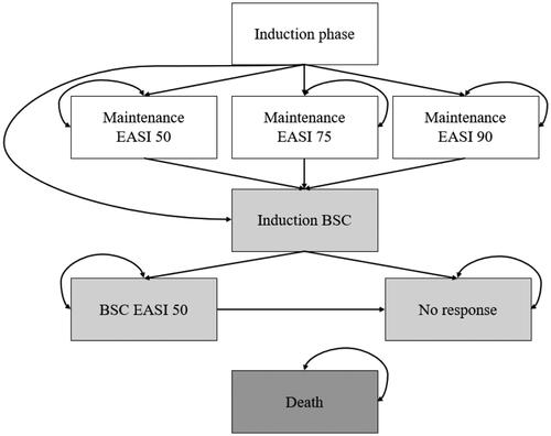 Figure 1. Model structure. Note. All patients start in the induction phase. Patients can transition to absorbing death health state from any health state. Abbreviations. BSC, best supportive care; EASI, eczema area and severity index.