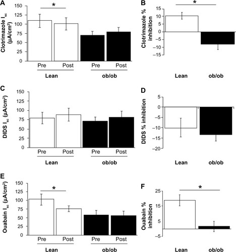 Figure 2 Effect of pharmacological inhibitors on the basal jejunum Isc. (A) Average initial steady state basal Isc (pre) and resulting basal Isc 15 minutes after bilateral application of 100 μM clotrimazole (post), in lean (open bars) and ob/ob (solid bars) mice. (B) Percent inhibition of basal Isc by clotrimazole (100 μM, bilateral), on lean (open bars) and ob/ob mice (solid black bar). (C) Average initial steady state basal Isc (pre) and resulting basal Isc 15 minutes after bilateral application of 200 μM DIDS (post), in lean (open bars) and ob/ob (solid bars) mice. (D) Percent inhibition of basal Isc by DIDS (200 μM, bilateral), on lean (open bars) and ob/ob mice (solid black bar). (E) Average initial steady state basal Isc (pre) and resulting basal Isc 15 minutes after basolateral application of 100 μM ouabain (post), in lean (open bars) and ob/ob (solid bars) mice. (F) Percent inhibition of basal Isc by ouabain (100 μM, basolateral), on lean (open bars) and ob/ob mice (solid black bar).