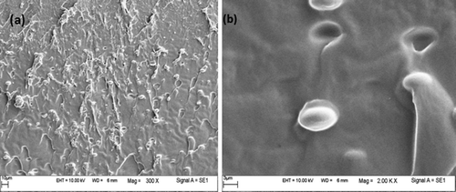 Figure 8. SEM images of fractured surface of sample 40-1-49. Scale bar: (a) 10 μm, (b) 3 μm.