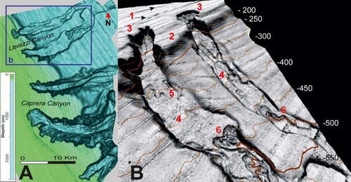 Figure 4. (A) Shaded relief from the DEM of the NE Sardinian continental margin. (B) 3D block of the Lavezzi canyon heads: (1) beach-rocks at 100 m depth; (2) edge of the prograding continental shelf; (3) retrogressive canyon head; (4) intracanal deposit from upslope failures; (5) erosional bedforms from channelized flows; and (6) retrogressive failure undermining the toe of former landslide deposits, perching within the channel axis.