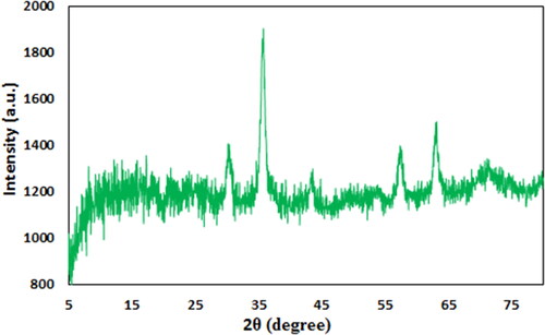 Figure 6. XRD pattern of Fe3O4@Pectin NPs.