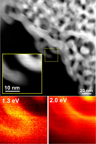 Figure 2. A STEM image of NPG obtained via low energy-loss electron spectroscopy. The region of interest (displayed in the inset) is denoted by the yellow square. The energy-loss images obtained at 1.3 and 2.0 eV are shown in order to visualize the corresponding surface plasmon energies.