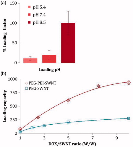 Figure 6. (a) pH effect on loading factor of doxorubicin on SWNT (error bars represent mean ± SD); (b) loading capacity vs. weight ratio of doxorubicin to the modified oxSWNT. The concentration of oxSWNT was kept constant at 50 μg.ml−1.