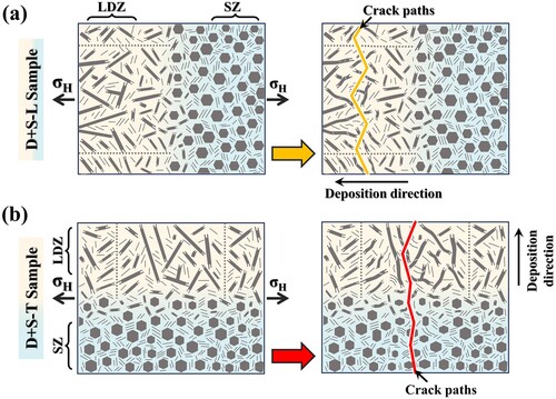 Figure 15. The crack propagation diagrams of the 990HT (a) D + S-L and (b) D + S-T samples.