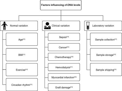 Figure 2. Factors influencing cell-free DNA levels.