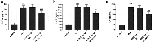 Figure 4. Effects of miR-378a-3p on inflammatory response in sepsis rat models. Changes of (a) TNF-α, (b) IL-1β and (c) IL-6 in the serum of sepsis rats