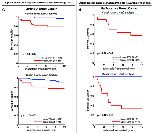 Figure 13. The α-casein-associated gene signature predicts clinical outcome. Note that reduced expression of the α-casein downregulated gene set (hence, reduced “stemness”) was associated with good clinical outcome (reduced metastasis and recurrence), especially in ER(+)-luminal A (A) and HER2(+) (B) breast cancer patients. Associated p values are as shown.