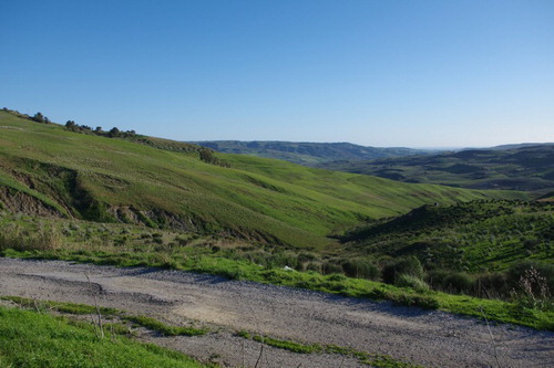 Figure 4. Rural landscape of the inland hills on marine clays and silty clays, in the right side of the Belice river valley (Trapani). The gentle slopes are dissected by small valleys and they are characterized by diffuse erosion (gully erosion on the left of the picture) and small shallow landslides.