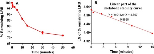 Figure 4 LRB Metabolic stability curve in HLMs (A) and Linear part regression line (B).