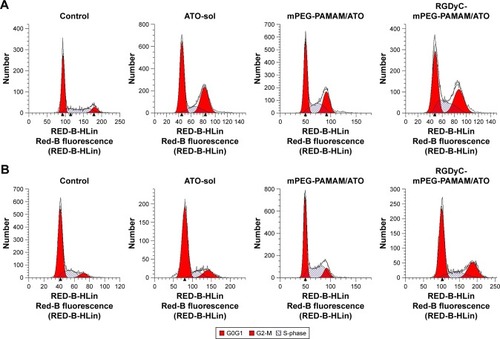 Figure 4 The effect of ATO formulation to C6 cells cycle.Note: C6 cells cycle perturbations induced by ATO formulations in culture medium for 24 h directly (A) and C6 cells cycle perturbations after transporting across the blood-brain barrier model in vitro (B).