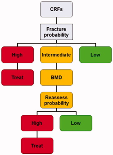 Figure 4. Management algorithm for the assessment of individuals at risk of fracture. BMD, bone mineral density; CRFs, clinical risk factors. Adapted from Kanis et al. [Citation5] with kind permission from Springer Science and Business Media BV.
