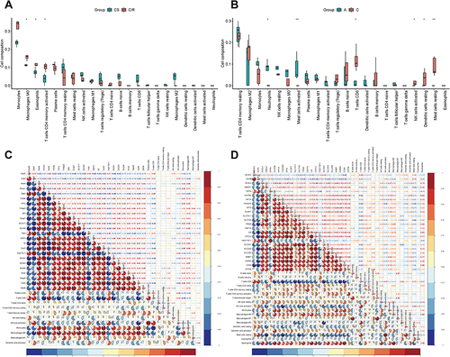 Figure 5 The boxplot of immune cell infiltration analysis of mouse intestine (A) and human intestine (B) after intestinal I/R injury. The horizontal axis represents cell types, and the vertical axis represents the estimated proportion. Spearman correlation analysis of expression profile of coFRGs and immune cell infiltration matrix from mice (C) and humans (D). Red represents positive correlation, blue represents negative correlation, and the number and the area of the pie chart represents correlation coefficient. The stronger the correlation, the darker is the color, and the larger is the area of the pie chart. *p < 0.05, **p < 0.01.