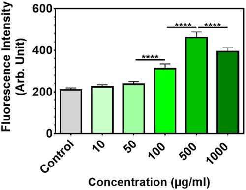 Figure 8 ROS generation of melanoma cells in the presence of various concentrations of RHA at 5 h post-treatment. Data are presented as mean ± SD (n=3 and ****p < 0.0001).