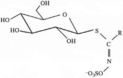 Figure 1 General structure of glucosinolates.