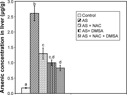 Figure 3 Effect of NAC and/or DMSA on the concentration of arsenic in liver. Each bar represents mean ± SE of eight animals in each group. Bar superscripts with no common letters (a–d) are significantly different (P<0.05).