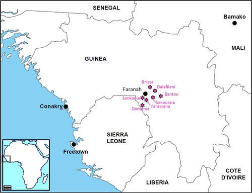 Figure 1. Map of Guinea showing the location of Faranah district and the six villages included for the cluster analyses [Brissa (10°13.010′ N; 10°41.326′ W), Dalafilani (10°08.590′ N; 10°36.303′ W), Damania (09°48.410′ N; 10°51.796′ W), Sokourala (10°03.407′ N; 10°39.950′ W) and Sonkonia (09°54.763′ N; 10°47.888′ W)], and Bantou from which the LASV strain was used as reference for the IFA slides and the phylogenetic analysis.