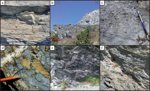 Figure 3. (a) Quartz-feldspatic sandstones interlayered with marls and clay ‘chips’ (BOR); (b) Triassic-Jurassic dolostones and limestones (LJ: Late Jurassic light grey limestones; MJ: Middle Jurassic dark limestones; SP: Triassic dolostones) of the Rocca Barbone Unit thrusted above the ‘TOM’ of the foreland basin succession; (c) breccia and conglomerate layers characterizing the base of the Briançonnais-type Middle Jurassic limestones; (d) Eocene polygenetic breccias (PB) with Triassic to Eocene clasts; (e) strongly foliated block of Late Cretaceous marly limestones (EB); (f) detail of a thrust-related tectonic cleavage (red line) cutting the stratigraphic boundary (blue line) between a megablock of Late Cretaceous marly limestones (EB) embedded within the TOM of the Rocca Barbone Unit.