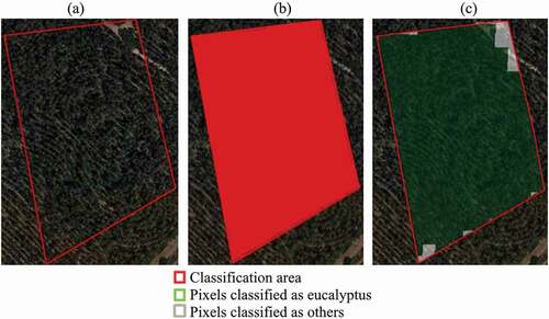 Figure 7. Validation of scenario 1 using the FIMICA multiplicative operator. Area near the village of Vila Nova de São Pedro, belonging to the municipality of Azambuja (39.201693, – 8.809251). (a) Original raw image with validation area (b) SOC classification; (c) classification using the FIMICA multiplicative operator. The green area shows the pixels identified as eucalyptus, while the white area shows the pixels identified as ‘others’. (source: QGIS 3.4.5, 2019)