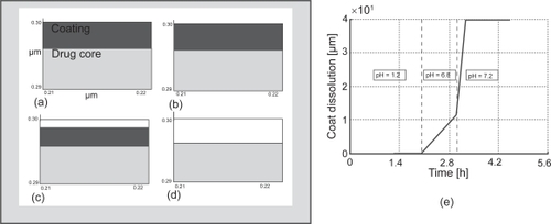 Figure 5 Simulation of the polymeric coating (EudraGI tract® S-100) of Asacol® (a) enlarged section of the interface between the drug core and coating at t = 0 h; (b) after 2 h in the stomach fluid at pH = 1.2; (c) after 1 h in the intestinal fluid I (proximal) at pH = 6.8; (d) after 15 min in the intestinal fluid II (distal) at pH = 7.2; (e) Coating thickness dissolution in pH 1.2, 6.8 and 7.2 gastrointestinal buffers.