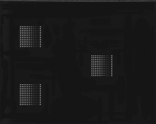 Figure 8. Triple-fluorescence calibration chip image.