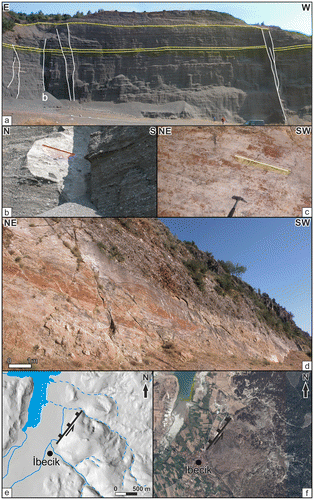 Figure 5. (a) Miocene conglomerates and strike-slip faults. Yellow lines indicate the layers. (b) indicates the location of Figure 5b. (b) Fault plane of the strike-slip fault shown in Figure 4(a). Red line indicates the striation. (c) Fault plane of the İbecik Fault shown in Figure 4(d). Yellow line indicates the striation. (d) View of the İbecik Fault in the field. (e) View of the İbecik Fault on DEM. (f) View of the İbecik Fault on satellite image.