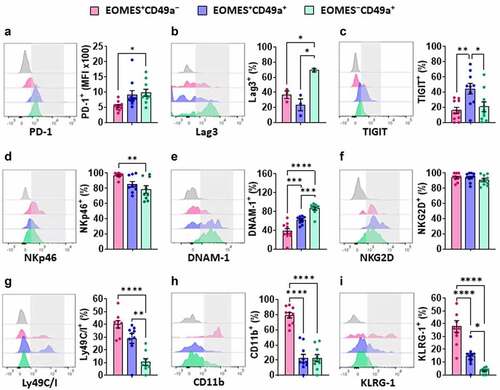 Figure 4. EOMES‒ NK cells exhibit an exhausted phenotype in the mammary tumors. Analysis of phenotypic markers, PD-1 (a), LAG-3 (b), TIGIT (c), NKp46 (d), DNAM-1 (e), NKG2D (f), Ly49C/I (g), CD11b (h), and KLRG-1 (i) in EOMES+CD49a‒, EOMES+CD49a+, and EOMES‒CD49a+ subsets of tumor-infiltrating NK cells in mammary tumors from WT mice (n = 10, except for Lag 3 (b; n = 3)). Data are presented as mean ± SEM of percentage of gated NK cell subsets positive for the analyzed markers (shaded box) or mean fluorescence intensity (MFI) for PD-1 expression (shaded box). Each symbol represents a single tumor from one mouse. Isotype control staining is represented by the gray histogram. Statistical significance was determined by one-way ANOVA followed by Tukey post-hoc test.