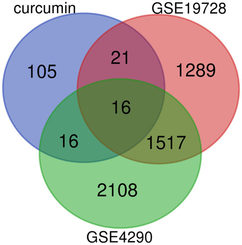 Figure 2 Venn plot of overlapping genes in the GEO database of DEGs and target genes of curcumin.
