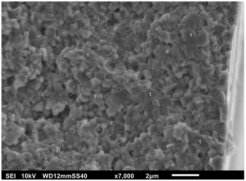 Figure 9. Fracture surface revealing both trans-granular (t) and inter-granular fracture (i).