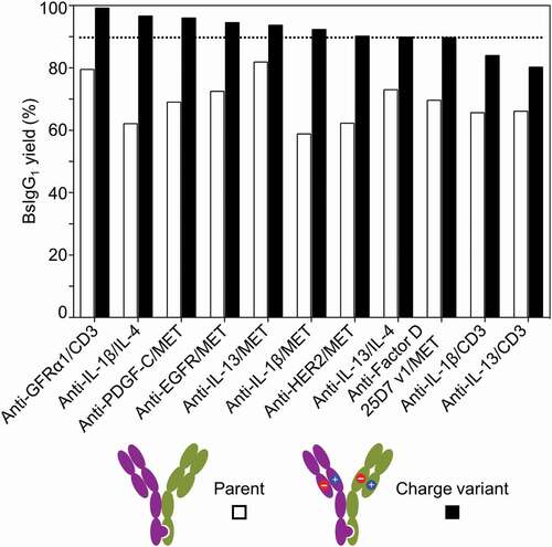 Figure 2. Incorporation of CH1/CL charge pair variants increases BsIgG1 yields for antibody pairs that have a strong intrinsic HC/LC pairing preference. For the charge pair variants, the first listed antibody contains the CL V133E and CH1 S183K mutations and the second listed antibody contains the CL V133K and CH1 S183E mutations.Citation21 See Table 1 for additional experimental details. 90% yield of BsIgG1 is indicated by a dotted horizontal line.