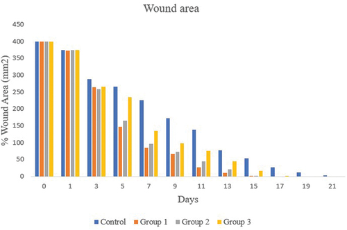 Figure 9. Effect of bioextract formulation of Annona muricata on wound area of treated and untreated wistar rats.