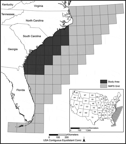 FIGURE 1. Map of the study area. Each grid, designated by the National Marine Fisheries Service (NMFS), represents 1° latitude by 1° longitude and is the unit by which fishing activity is reported and/or accounted for in the commercial snapper–grouper fishery. The dark grids encapsulate the study area.