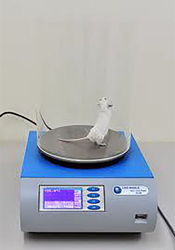 Figure 8. Hot plate analgesiameter apparatus.