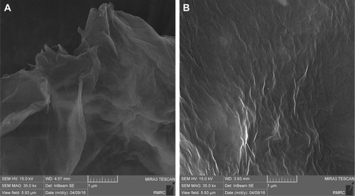 Figure 5 SEM of GO sheets (A) and HPG-GO sheets (B).Abbreviations: SEM, scanning electron microscopy; GO, graphene oxide; HPG, hyperbranched polyglycerol.