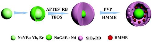 Figure 10 Schematic illustration of the construction of UCNP@SiO2-RB/HMME NPs. Reprinted from Biomaterials Science. Xu F, Hu M, Liu C et al. Yolk-structured multifunctional up-conversion nanoparticles for synergistic photodynamic-sonodynamic antibacterial resistance therapy, pages 678–685. Copyright 2017, with permission from Royal Society of Chemistry.Citation98