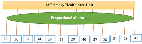 Figure 1 The proportional allocation of total participants over the thirteen randomly selected health facilities in Ilu Ababor Zone, Oromia, Ethiopia.