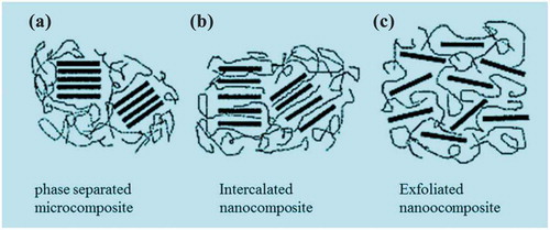 Figure 20. Schematic display three morphological states that are possible with graphene-based nanocomposites: (a) phase separated, (b) intercalated, (c) exfoliated (adapted from reference [Citation196]).