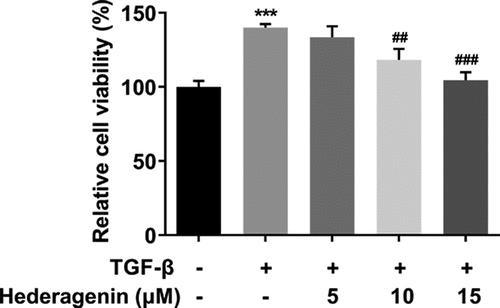 Figure 2. The effect of HE on the proliferation of TGF-β-induced NRK-49 F cells. The cell viability of TGF-β-induced NRK-49 F cells exposed to HE. ***P < 0.001 versus TGF-β. ##P < 0.01, ###P < 0.001 versus TGF-β + Hederagenin. Each experiment was repeated at least three times.