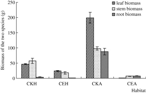 Figure 1. The leaf, stem, and root biomass of H. scandens and A. philoxeroides in different habitats. CKH and CKA represent the habitats in which H. scandens or A. philoxeroides lived alone, and CE represents the habitat which H. scandens shared with A. philoxeroides. The bars in the figure stand for the Std. Errors of the replications (n=3).