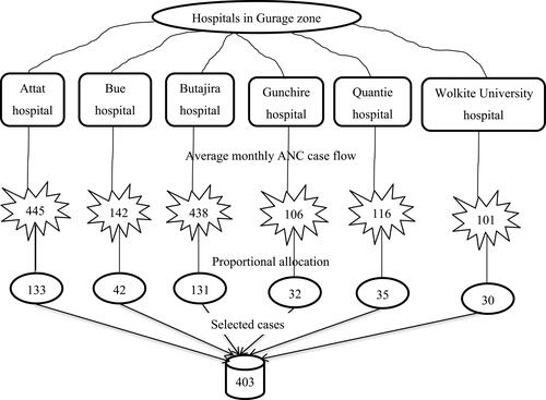 Figure 1 Sampling procedures of COVID-19 preventive measure practices and knowledge of pregnant women in Guraghe zone hospitals, Wolkite, September 2020 (N=403).