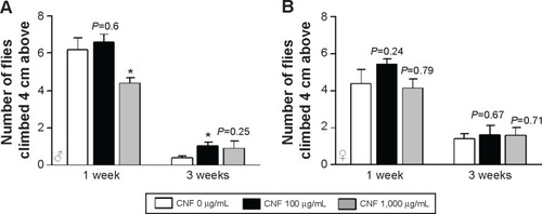 Figure 5 Effects of CNF ingestion on physical activity of Drosophila.Notes: The physical activity of flies was determined by vertical climbing assay. The physical activity of female flies (A) was not significantly affected by CNF administration. However, the physical activity of male flies (B) significantly decreased at 1 week after eclosion upon 1,000 μg/mL of CNF ingestion. Male flies administered 100 μg/mL of CNFs showed enhanced physical activity at 3 weeks after eclosion. *P<0.05.Abbreviation: CNF, carbon nanofiber.