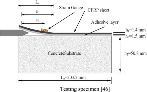 Figure 8. Testing specimen (Amidi & Wang, Citation2016b).