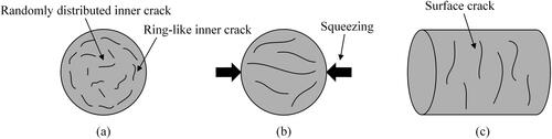 Figure 4. Illustration of cracks generated after decompression; (a) inner cracks in unconstrained conditions, (b) inner cracks in constraint conditions, (c) crack propagation even up to the surface.[Citation38]